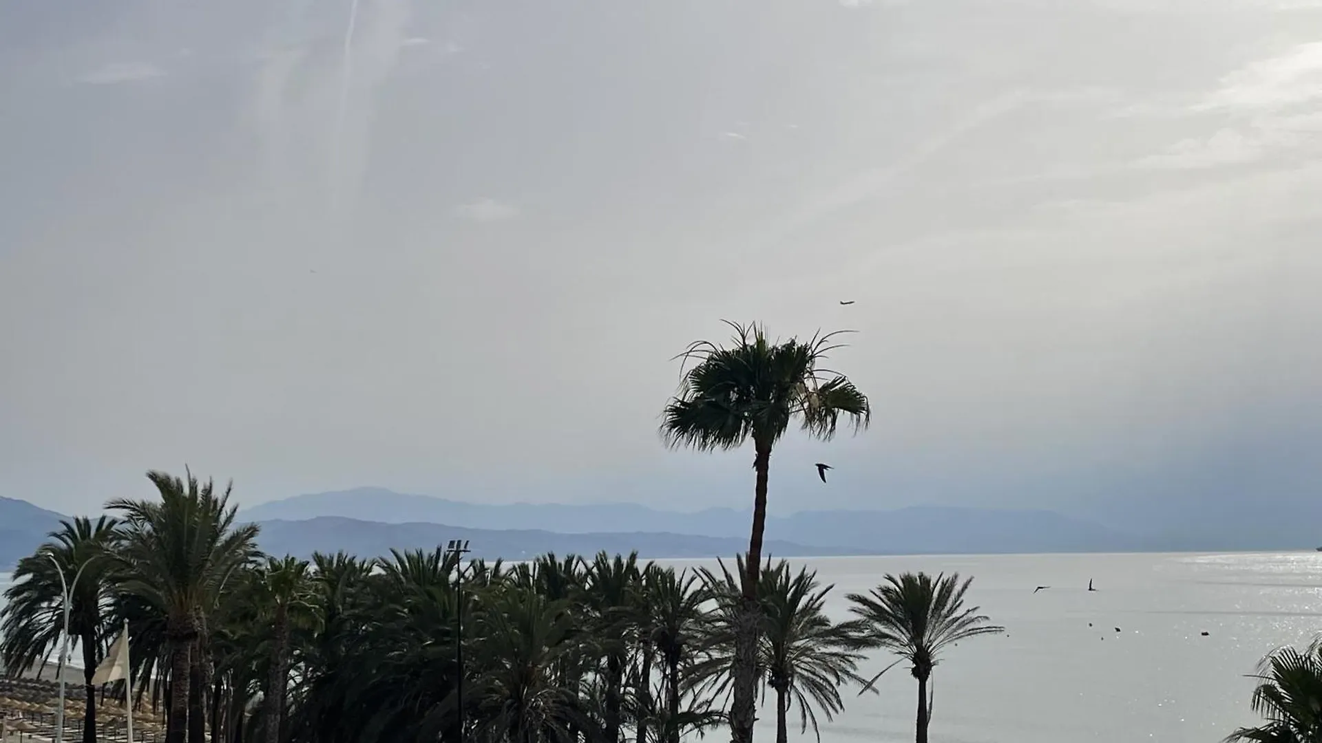 Moderno Piso Mirando Al Mar Apartment Torremolinos
